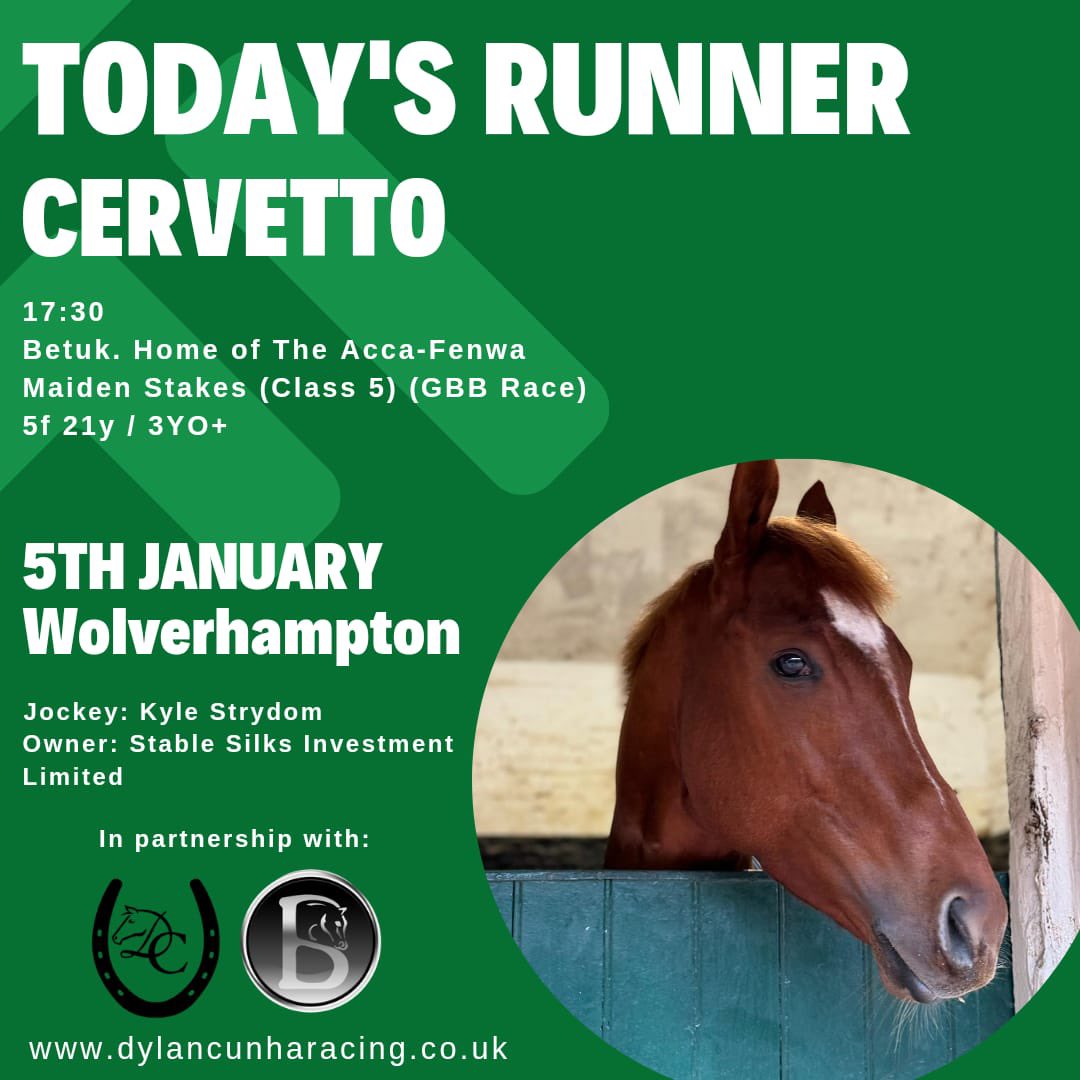 Cervetto runs today @WolvesRaces with @KyleStrydom01 riding on @AtTheRaces @SkySportsRacing 🏇💚💫