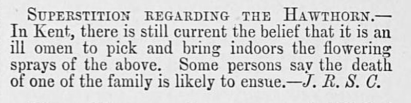 kenticisms's tweet photo. QUICK was the local word for common hawthorn, known for its quick growth, useful for hedges. In Kent it was thought to be a bad omen to bring hawthorn flowers into the house.
From Hardwicke's Science-Gossip (1875) https://t.co/jtsFeBzG9y