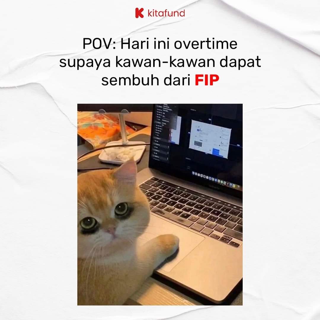 I ada exciting news for my FIP furriends ʚ♡ɞ˚

Kitafund x Kiseneko: Special Program

Registration starts on Monday, 8th January 2024. Limited to 25 persons per month.