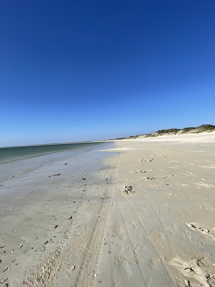 Sooooo packed! 😂🤣😂🤣
#MintDay #DesertedBeach