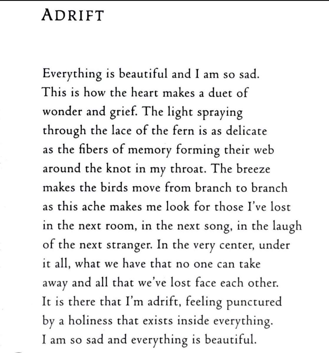 “A duet of wonder and grief” 🫶🏽 Adrift — By Mark Nepo.
