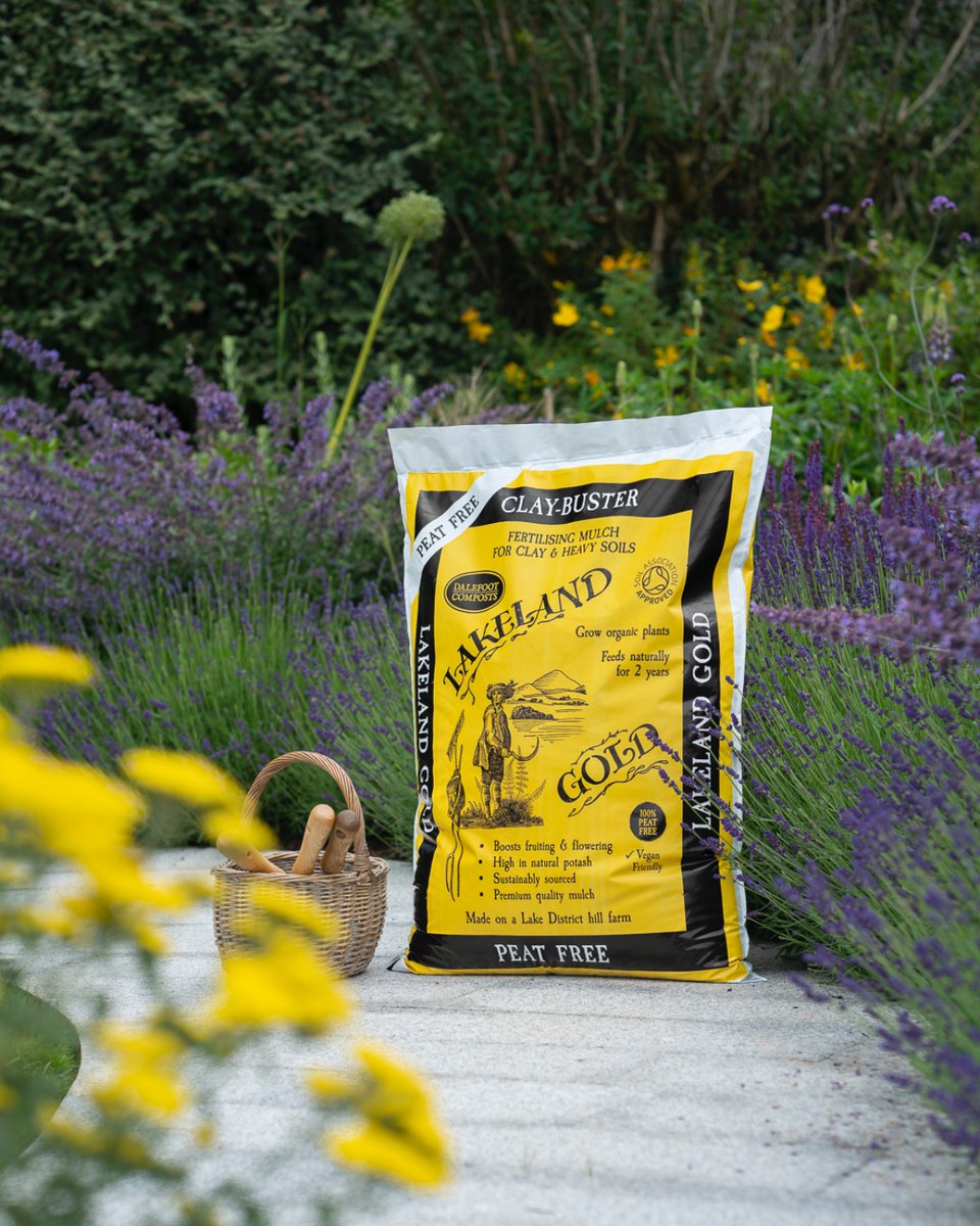 It's Veganuary! So, did you know that our Lakeland Gold is vegan-friendly?

It makes a perfect mulch for your beds, adding structure and permeability to your soils. 

Get yours now; ow.ly/xOFe50QkBA5

#veganuary #vegan #vegancompost #PeatFree #PeatFreeGardening