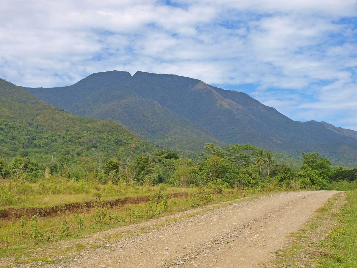 CatEccentric's tweet photo. Gunung Sambapolulu get so high you can touch the clouds, it's a sight to behold #SouthEastSulawesi #Tangkeno #Indonesia #Climbing #hiking #mossforest #ruggedterrain #beautifulviews #breaththefreshair #makememories #travel #letsgo #getbacktonature https://t.co/32MeY8ovHP