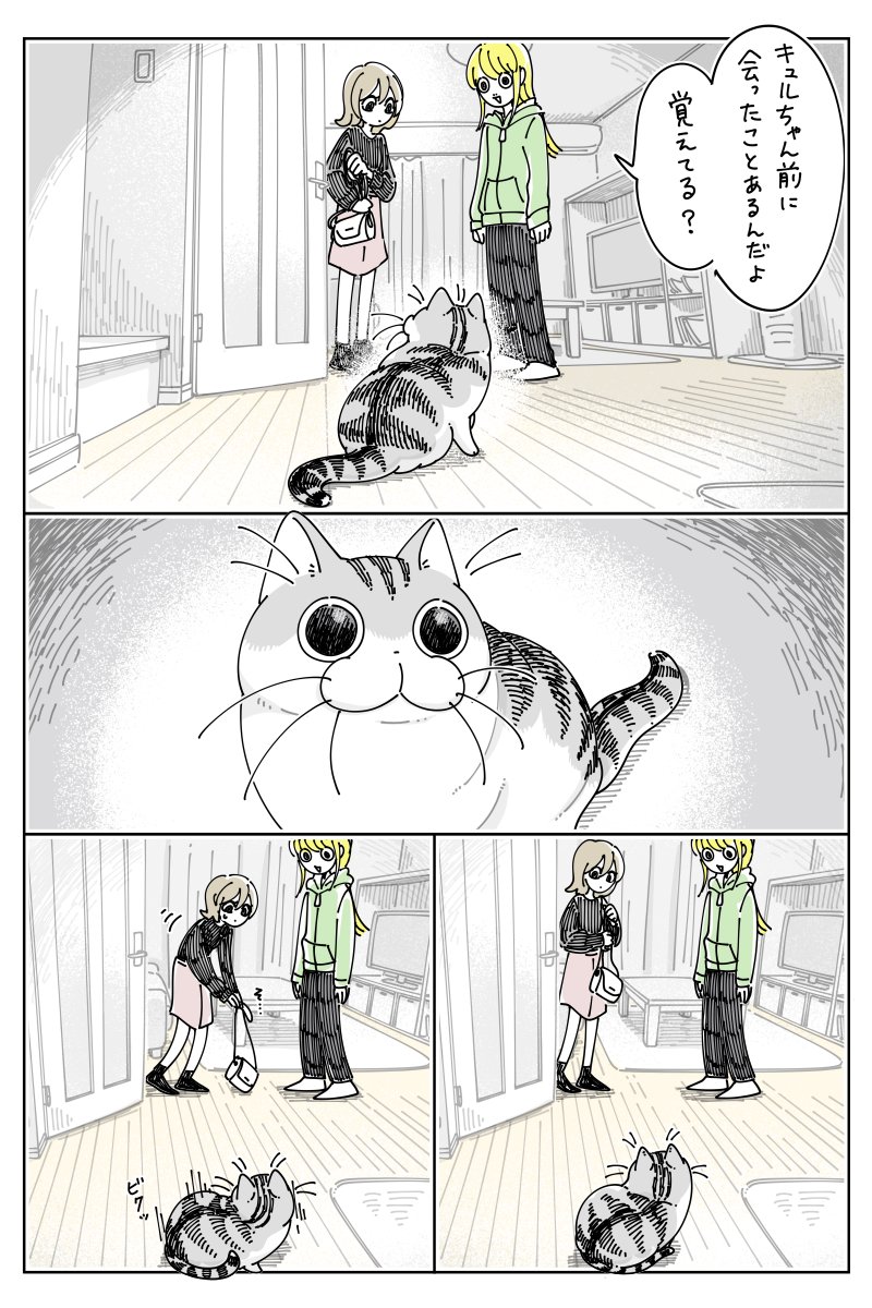 キュルZ tweet media