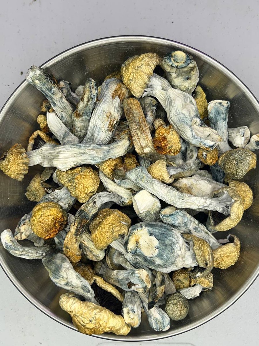 Hook-up with me farm we absolutely got top 💯 medical marijuana strains, seed, Xanax bars, cbd oil, carts, clones, hash, shrooms and gummies available see our channel 👇👇👇👇

t.me/psychedelicHq