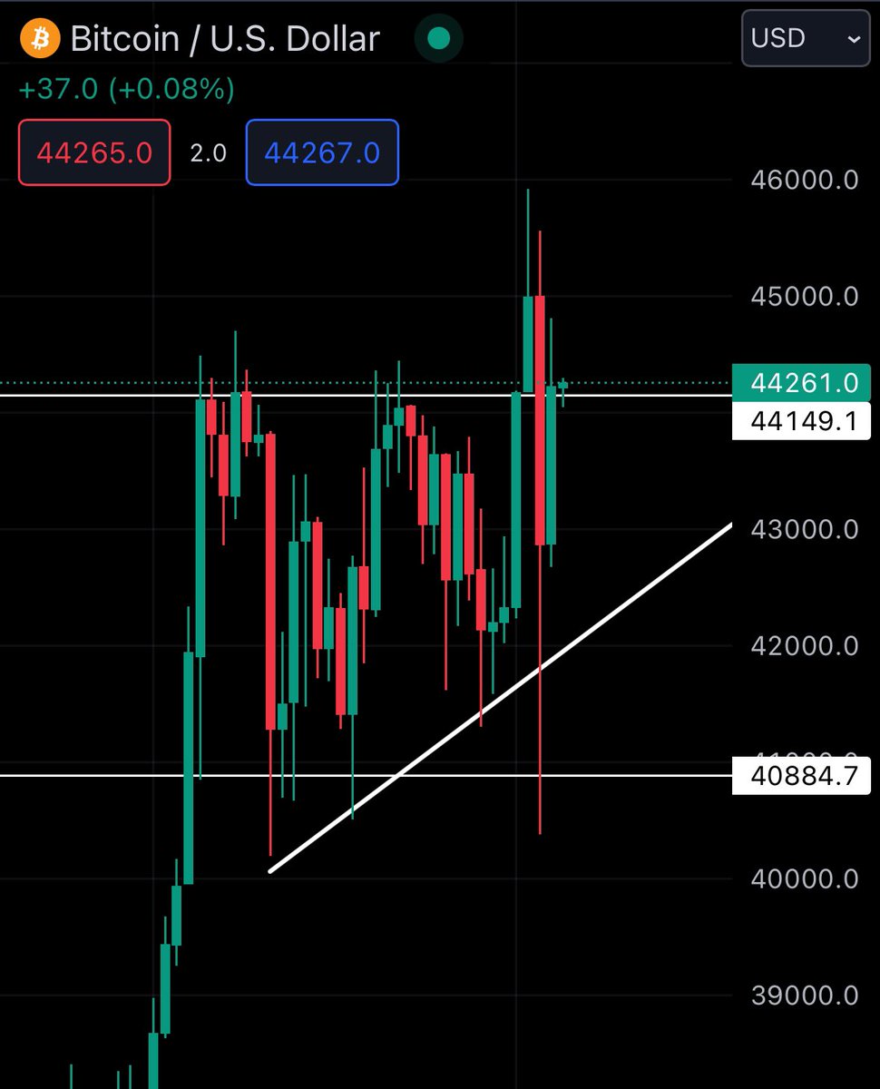 Scott Leon tweet media