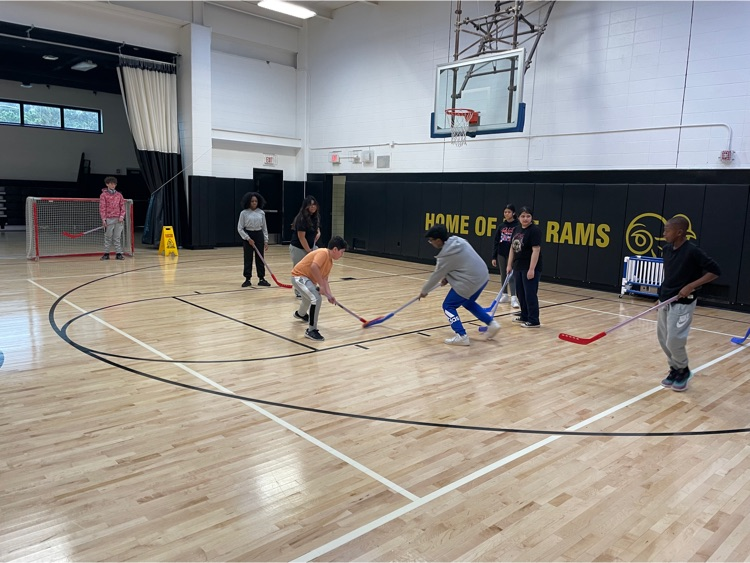 The students in Mr. Brown's P.E. class were working up a sweat while playing hockey.