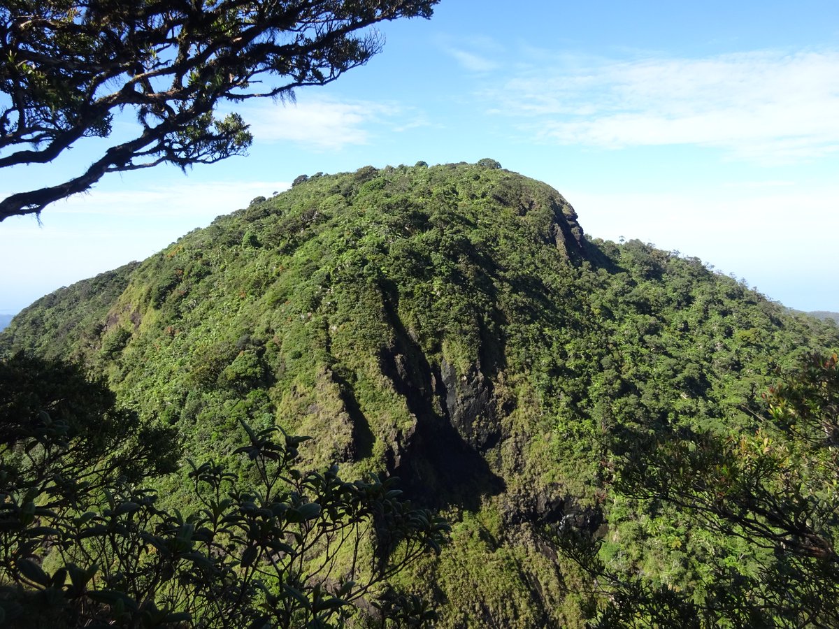 CatEccentric's tweet photo. Gunung Sambapolulu get so high you can touch the clouds, it's a sight to behold #SouthEastSulawesi #Tangkeno #Indonesia #Climbing #hiking #mossforest #ruggedterrain #beautifulviews #breaththefreshair #makememories #travel #letsgo #getbacktonature https://t.co/32MeY8ovHP