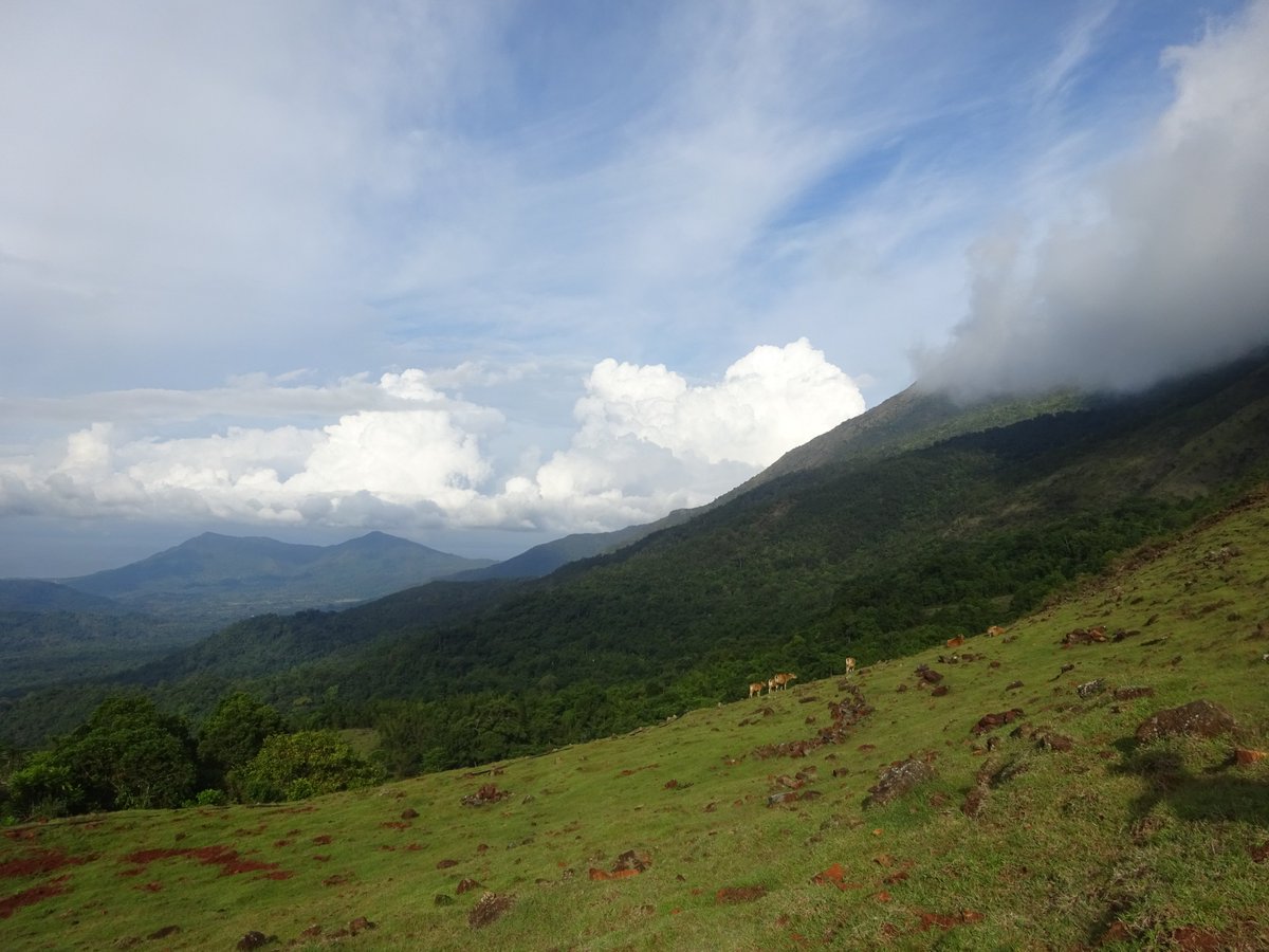 CatEccentric's tweet photo. Gunung Sambapolulu get so high you can touch the clouds, it's a sight to behold #SouthEastSulawesi #Tangkeno #Indonesia #Climbing #hiking #mossforest #ruggedterrain #beautifulviews #breaththefreshair #makememories #travel #letsgo #getbacktonature https://t.co/32MeY8ovHP