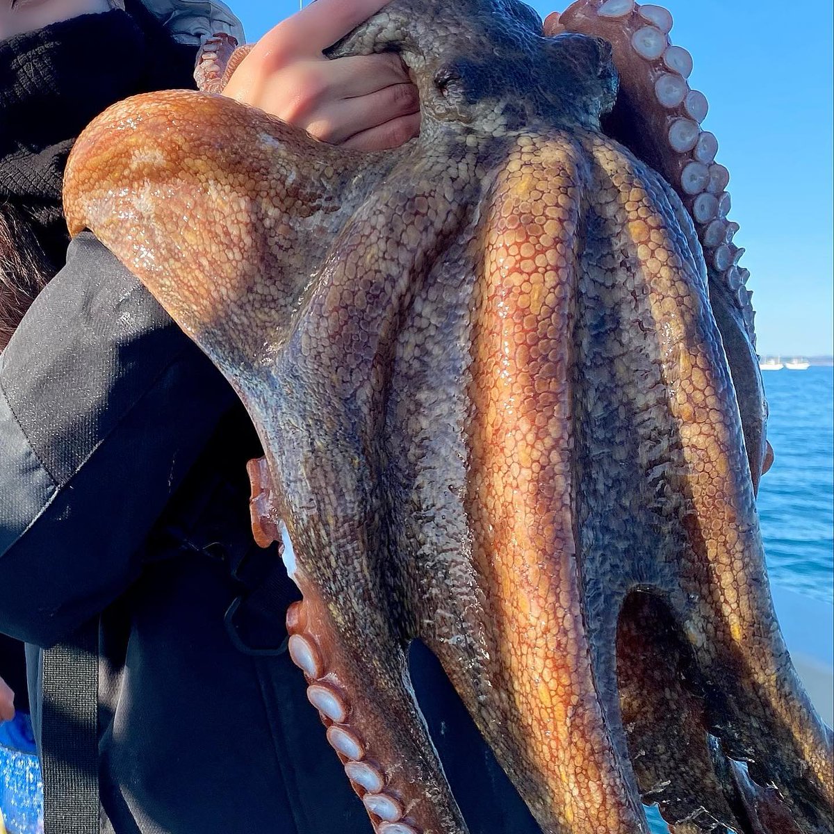 KushFcke's tweet photo. 今年の釣り部活動は太刀魚からスタートしました‼️✨
早朝から絶好調で10匹ゲット👍🎣
冬の太刀魚は脂が乗っていて最高に美味しいみたい🥺💕

#太刀魚 #走水 #走水沖 #太刀魚釣り
#釣り #釣り部 #フィッシングクラブ #釣り女子 #釣りガール #釣り好きな人と繋がりたい #時差投稿🐟 https://t.co/j3QFHhCoFY