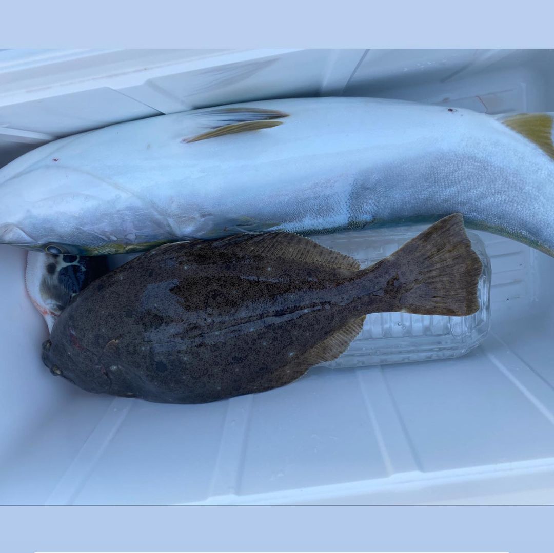 KushFcke's tweet photo. 今年2回目の釣りは鰆狙い‼️ジギングで挑戦しました🎣
前日から準備に時間をかけてタックル3本持っていきましたが、
釣果は激渋🥲

#9時間30分粘りました
#東京湾 #東京 #鰆 #サワラ #サワラ釣り
#釣り #釣り部 #フィッシングクラブ #釣り女子 #釣りガール #釣り好きな人と繋がりたい時差投稿🐙
🙋 https://t.co/RYk37rOVyb