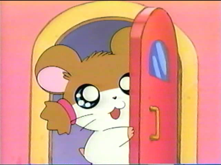 Nise_Hamtaro's tweet photo. Good morning, adoring fans https://t.co/77Lf6pwSX0