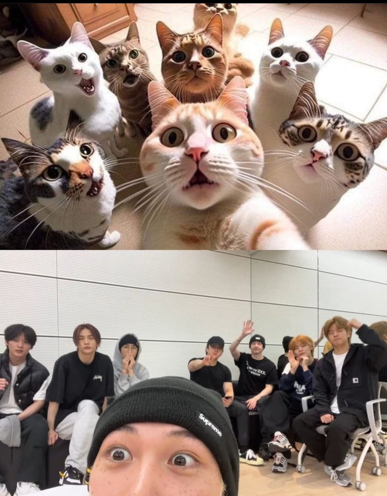 honey bang ☯︎ 🧸ྀི *ꫂ ၴႅၴ tweet media