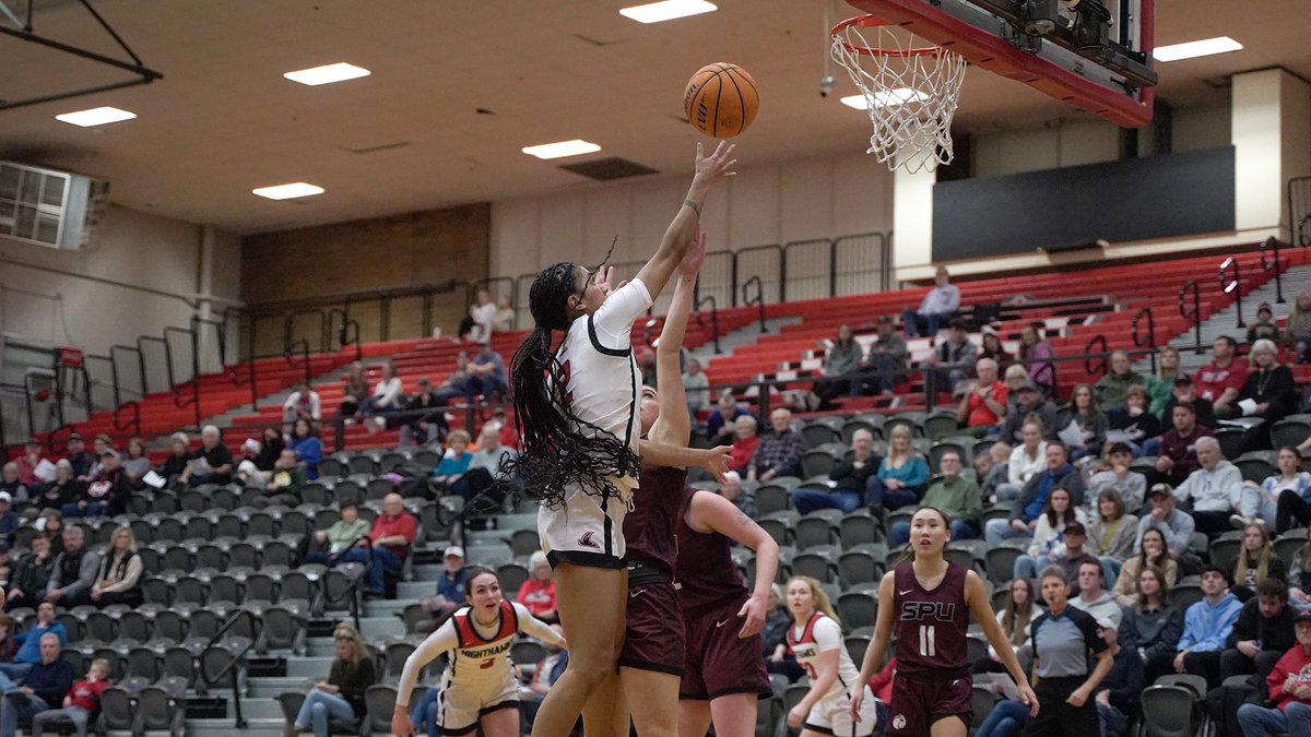 NNU Nighthawks tweet media