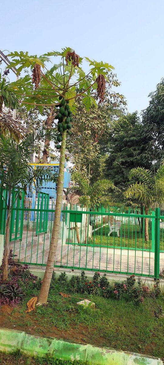 Nice initiative <a href="/bmcbbsr/">BMC</a>