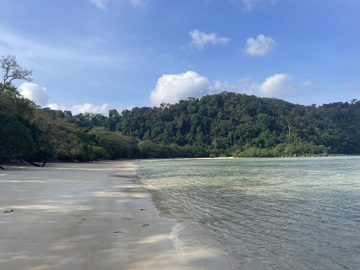 Peter Lindley tweet media