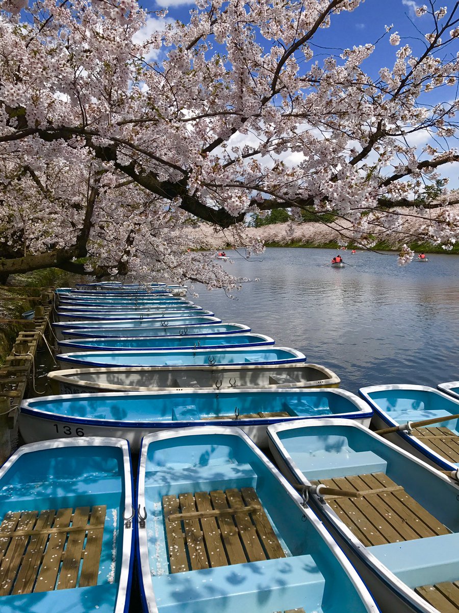 Japan is an incredible place🙌
I highly recommend it☺️