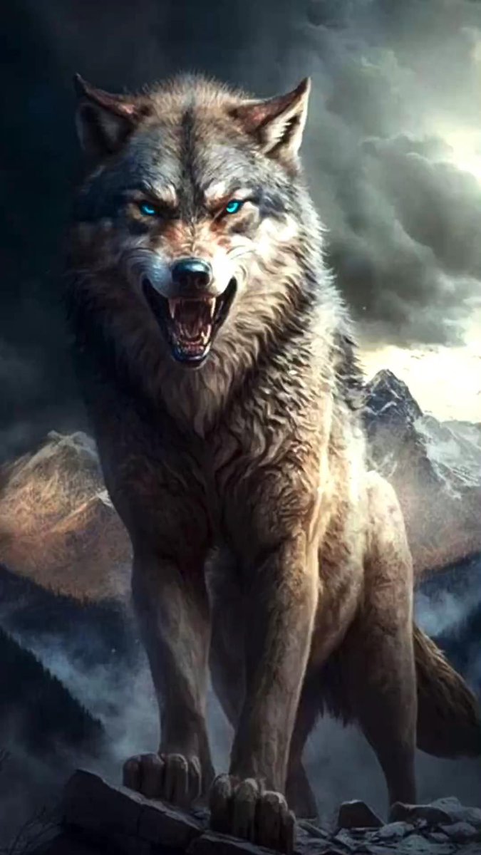 #WOLFHOWLHARMONY #wolfloverusa #wolfofwallstreet #wolftattoo #wolflove #wolf #wolfman #wolflover #wolfpack  #wolfdogsofinstagram #wolfie