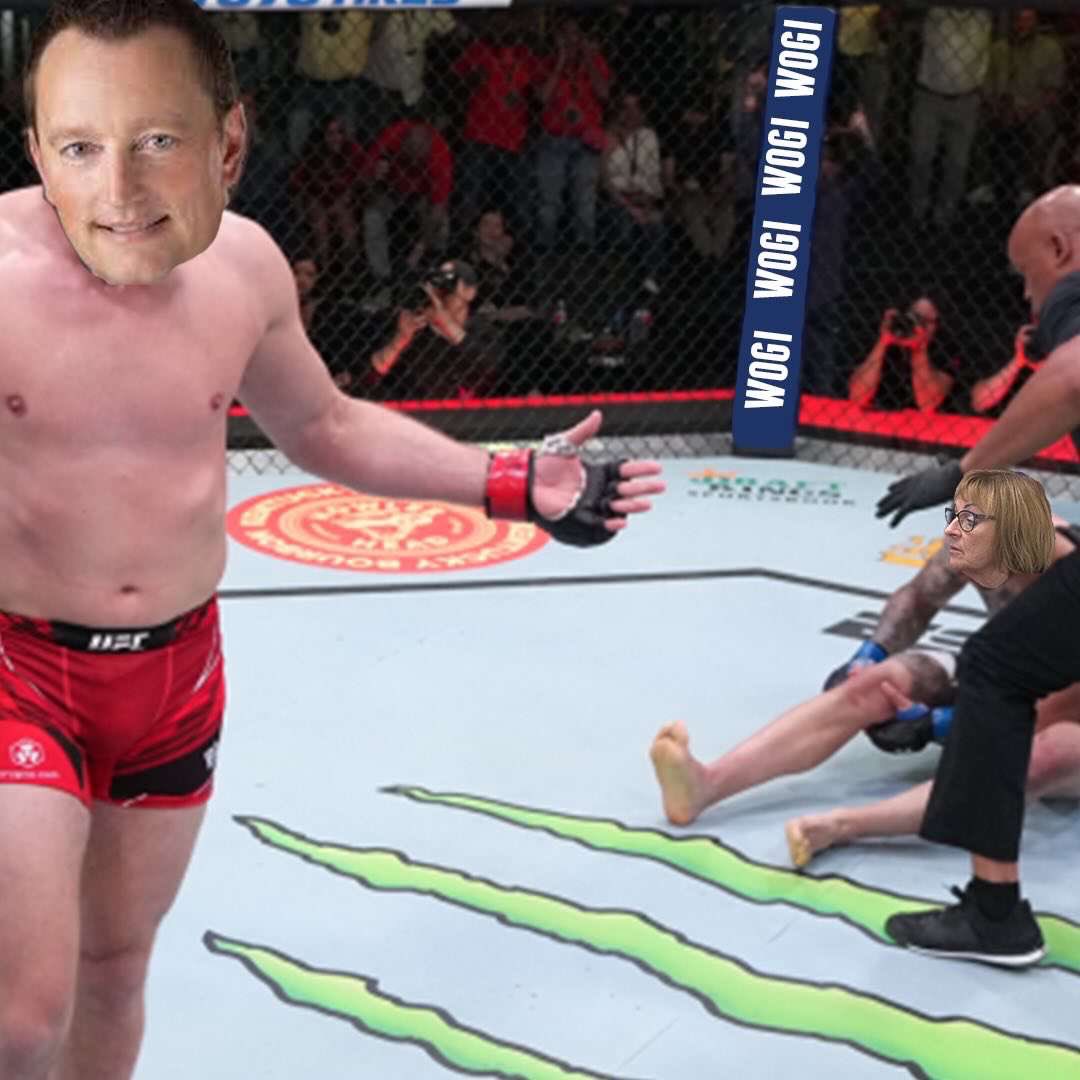 Barstoolcatz (@barstoolcatz) on Twitter photo 