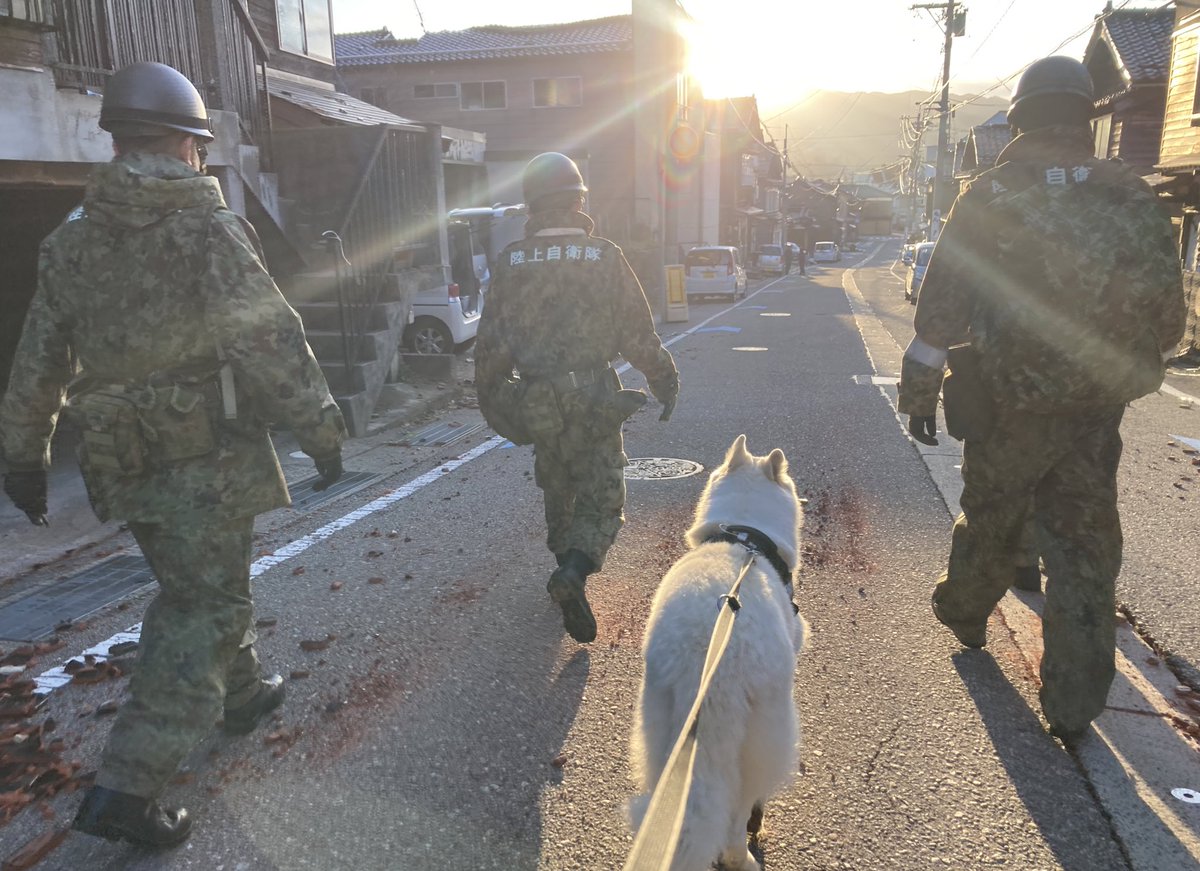 kainehenalu's tweet photo. 今回、輪島市を拠点に全国救助犬ネットワークさん、和歌山災害救助犬協会さん、日本救助犬協会さん、森田救助犬訓練砦さんと連携、ありがたいご教示受けながら捜索しています。私は個人での活動で小さな力ですが少しでも減災の助けになればと願っています。
#能登地震
#災害救助犬 https://t.co/X8aLNcys6p