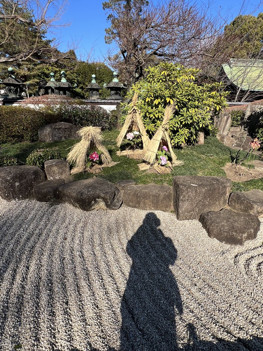 今日は東京上野にある「東照宮」に冬牡丹の花を撮影に来ました。　2024.1.5