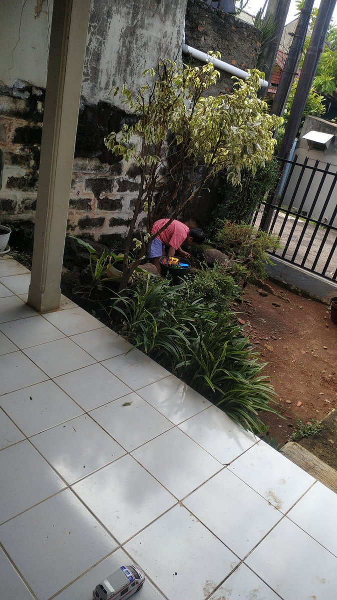 andriekaryadi's tweet photo. Badannya enak dikit, langsung gerilya di tanah merah. Bersimbah ingus, ompol, tanah..
Setelah bujuk rayu, akhirnya mau mandi.
Ntah berapa lama bertahan yaa 🤪🤣
#livingwithkids #worthforme ❤️ https://t.co/aBCBelzKEw
