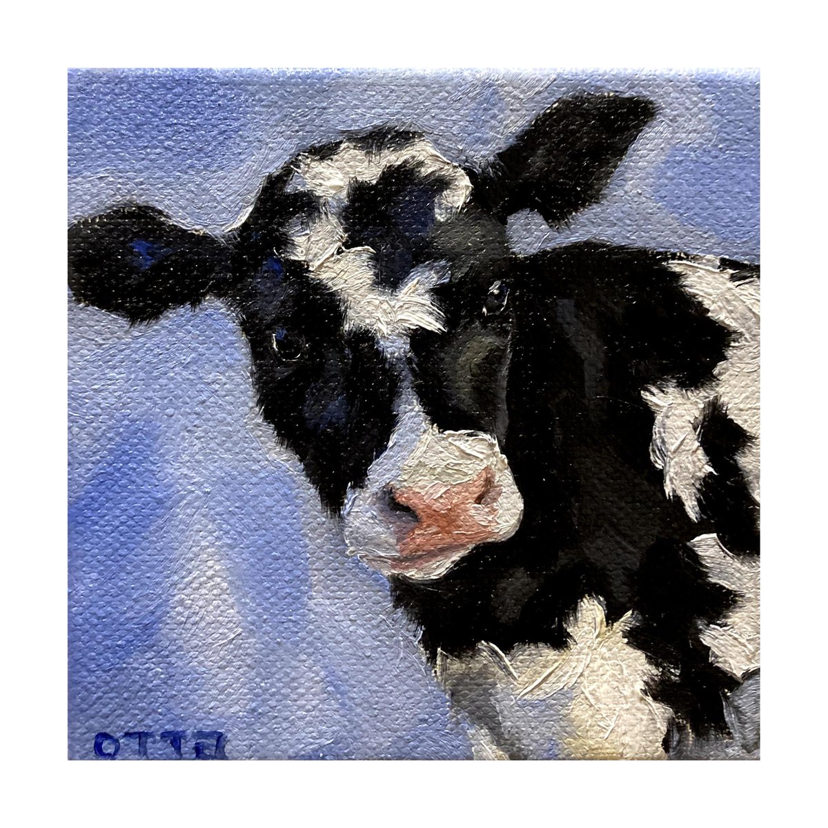 'little cow, otta, oil on canvas, 2024' ___ottart #traditionalart