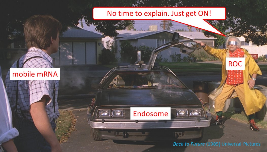Kai-Ren Luo (@lokailin) on Twitter photo Exited to share our study in <a href="/NaturePlants/">Nature Plants</a>! We depicted how RNA-binding proteins ROCs mediate organelle hitchhiking of mobile mRNAs on endosomes and help mobile mRNAs to approach plasmodesmata.
rdcu.be/du8Uc (1/2) Exited to share our study in <a href="/NaturePlants/">Nature Plants</a>! We depicted how RNA-binding proteins ROCs mediate organelle hitchhiking of mobile mRNAs on endosomes and help mobile mRNAs to approach plasmodesmata.
rdcu.be/du8Uc (1/2)