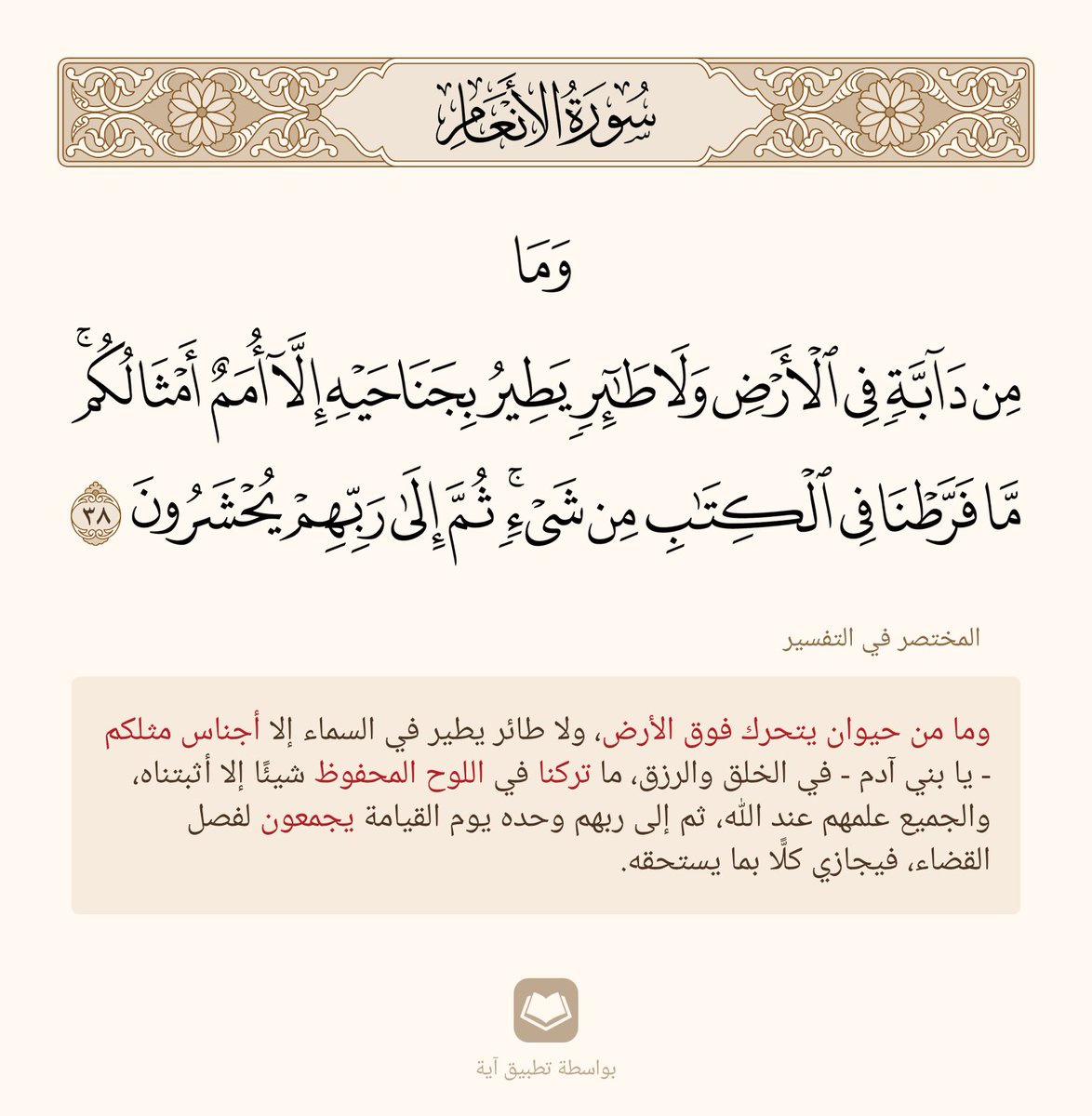 علي البناوي (@ama401ama4011) on Twitter photo 