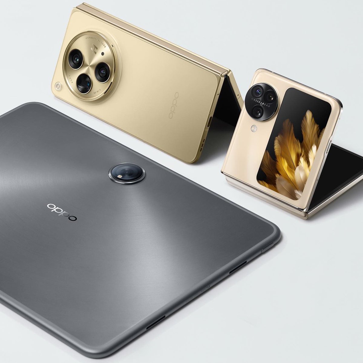opposingapore's tweet photo. Flip, Fold, or Pad? You can only pick one 👇 #OPPOPad2 #OPPOFindN3Flip #OPPOFindN3 https://t.co/gQQjGdjkeW