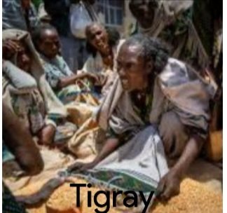 Habenhager62456's tweet image. أحد أعضاء زمرة #TPLFterrorist الراحلة @DrTedros الذي كان يحرض على عنف الإبادة الجماعية في تيغراي #إثيوبيا يضحك الآن على تلك الأسر التيغرايية التي فقدت أطفالها دون مقابل ولم يتبق لها شيء لتأكله.👇🏾@WHO @BBC @npratc @cnni