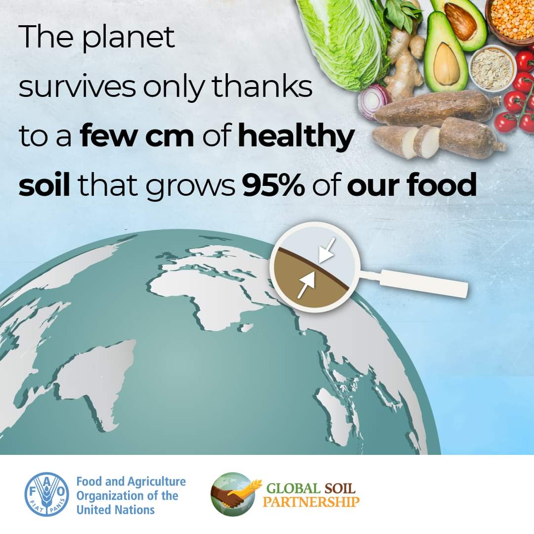 Soils + water = vital to food production. Over 95% of the food we eat is produced on land, starting with soils & water. Let's manage and use them wisely! #Soils4Nutrition #SoilAction #SoilHealth