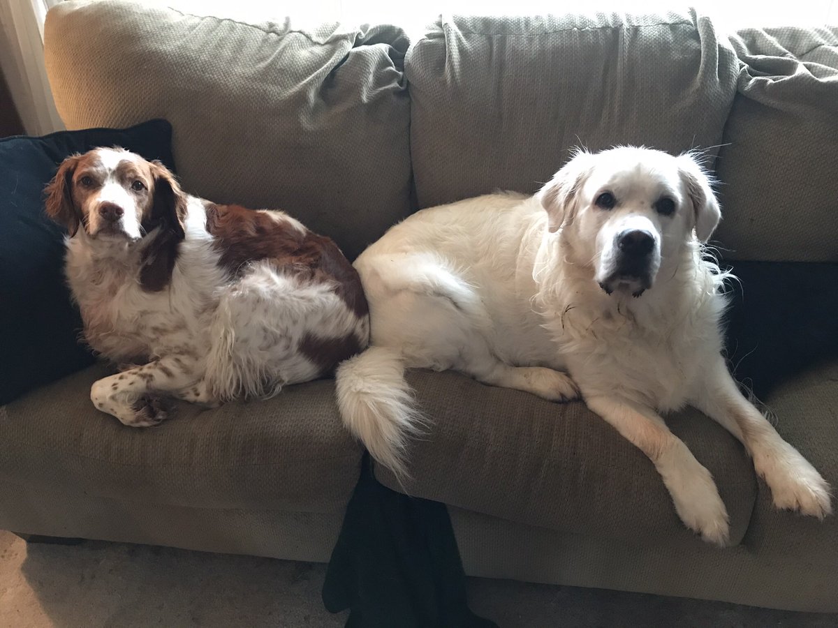 Your #dailydose of #lilBish &amp; #Baron