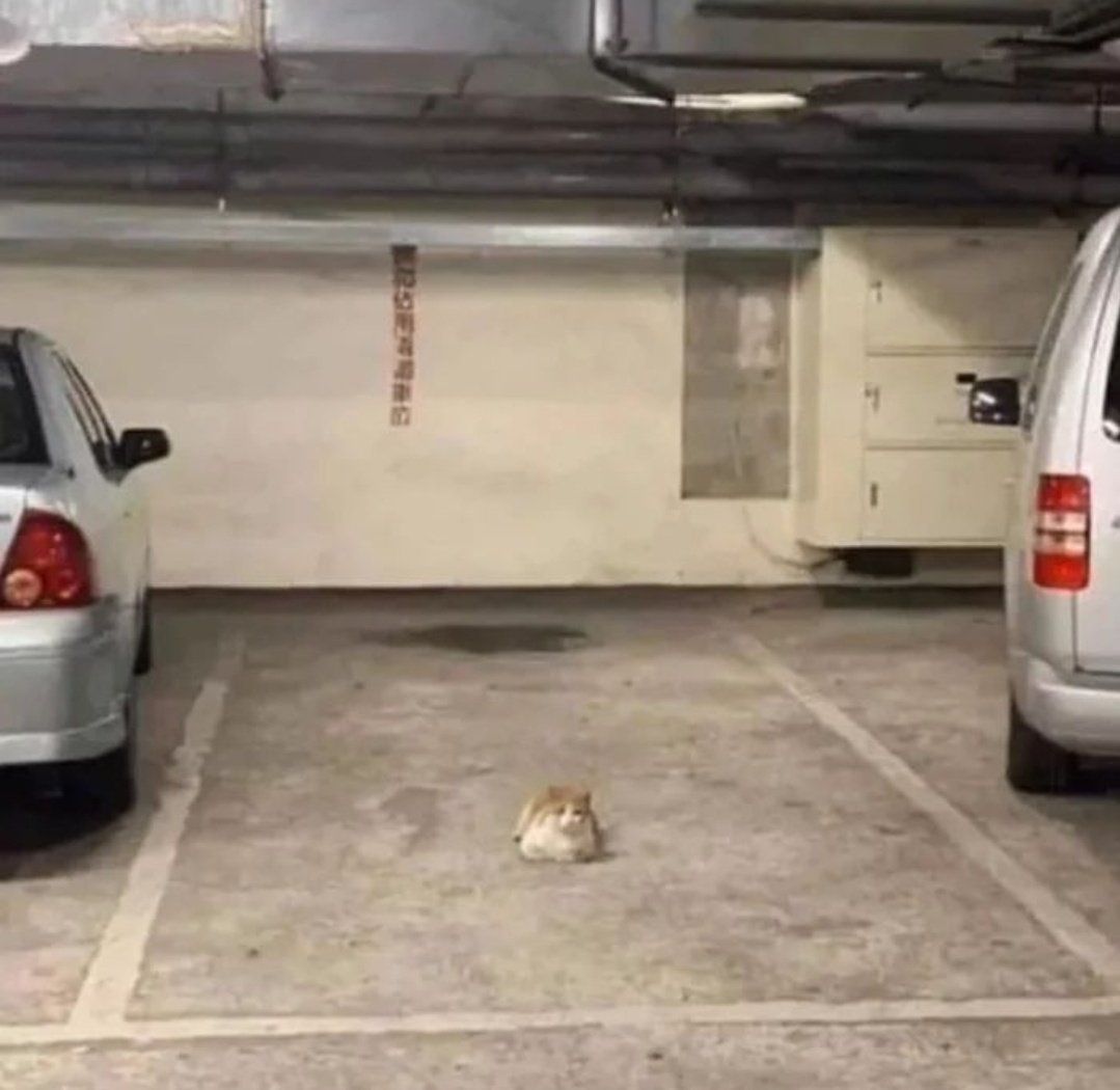 go park somewhere else