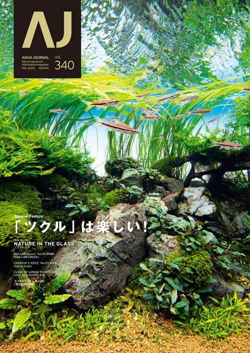 ADA アクアリウム用品 アクアデザインアマノ 20周年 ネイ