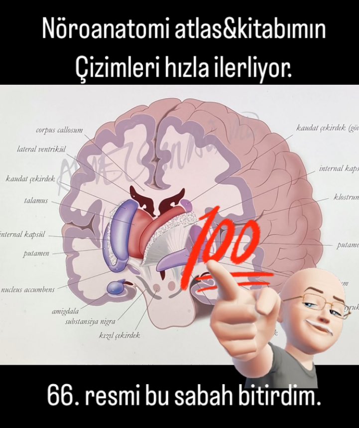 Türkiye’de yazıp, çizip, yayınlayıp Amerikan üniversitelerine satacağız. Hayalimiz büyük…