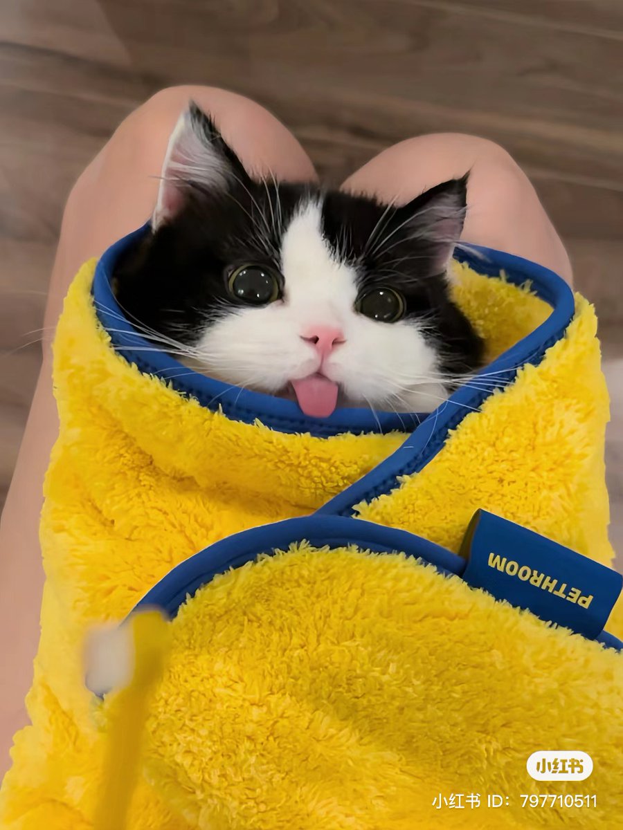 😛😛😛