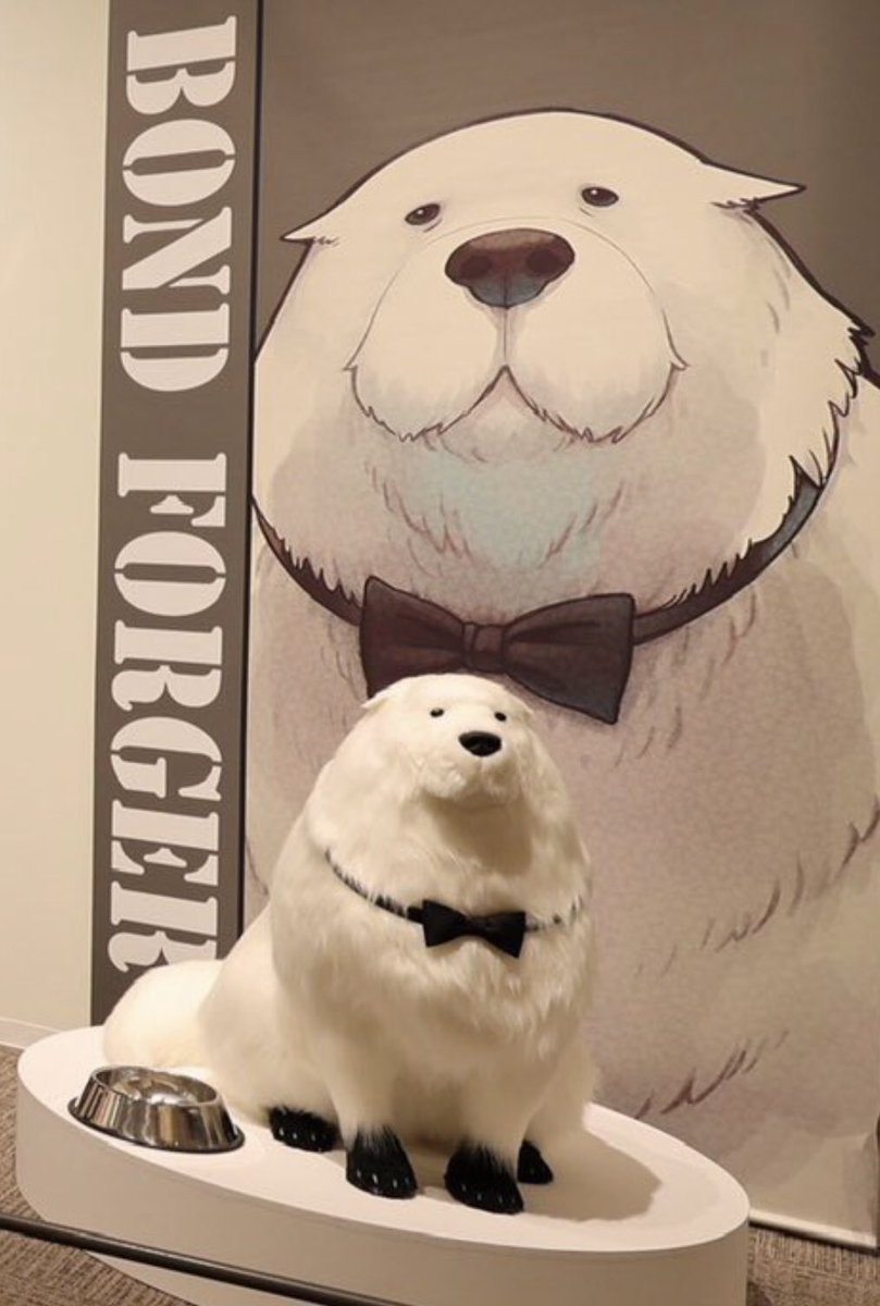 amber ♡ tweet media