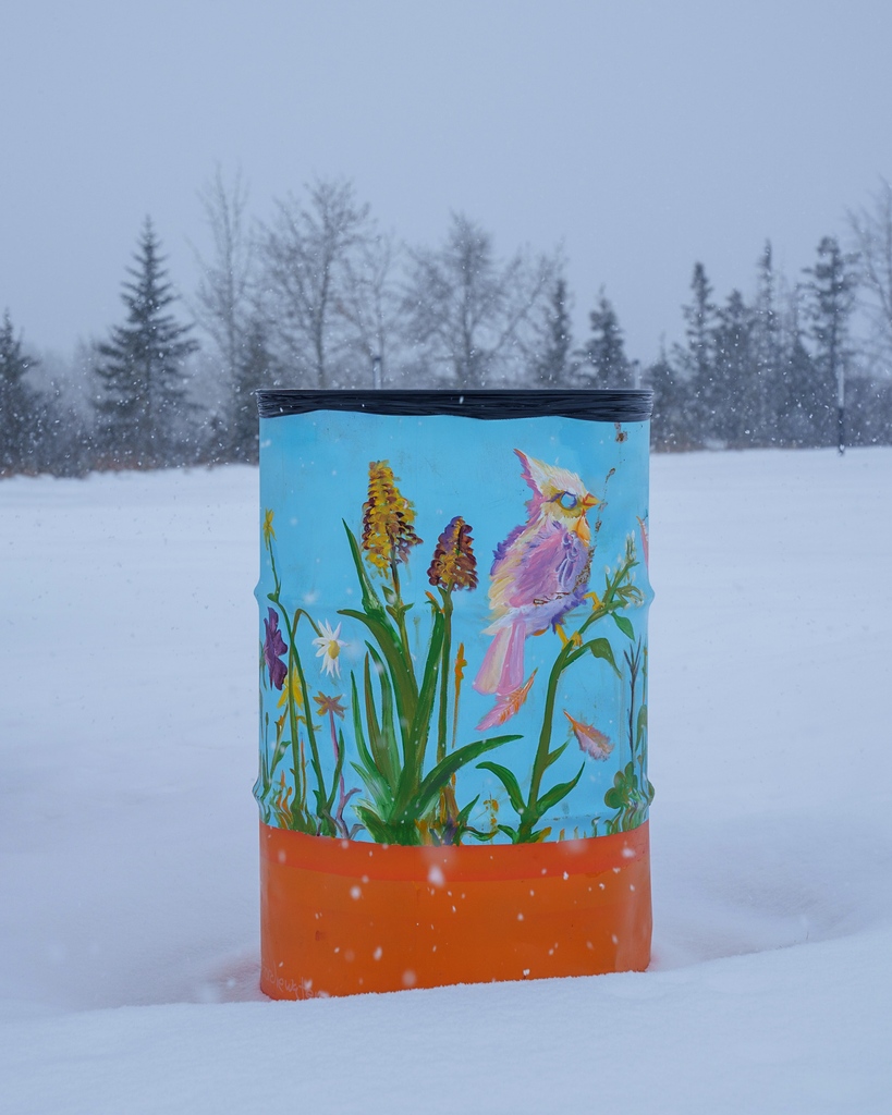 liveincapstone's tweet photo. As more snow blankets our great spaces, let's keep Canada 150 Square vibrant and clean by using these one-of-a-kind waste bins painted by local artist @gordiewaters ❇️
.
.
.
.
.
#RedDeer #RedDeerAB #art #artist #localart #localartist #winter #winterart #summerart https://t.co/I40SjgPHXf