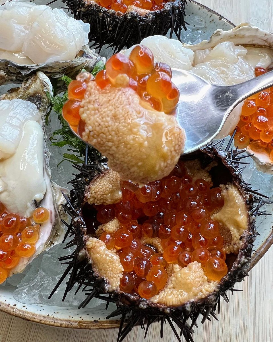 Ikura on Whole Uni & Hotate on Raw Oyster Platter🦪
#oysterlovers #oyster #rawoysters
