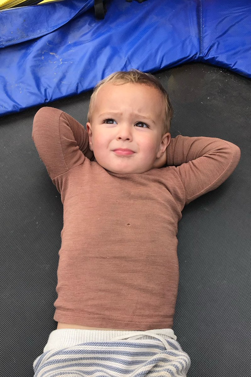 Dan Tocchini IV tweet media