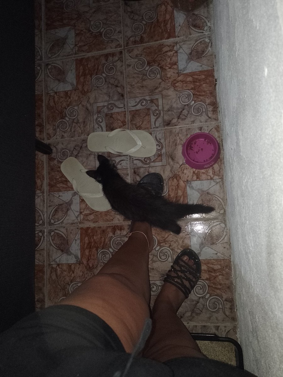 BrendaMRosaF's tweet photo. 03:09 da madrugada eu estou esperando xis na companhia da jade, enquanto a Aléxia dormi...🤦🏾‍♀️🤣 https://t.co/Bn0uSRJbCJ
