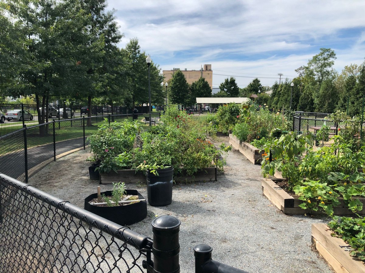 Why you should garden:

👋 You'll meet more people in our community
🌱 You'll better understand the expression 'grows like a weed'
🍅 garden tomatoes > supermarket tomatoes

Register today for the 2024 Noyes Park community garden lottery; it closes on 2/7! friendsofnoyespark.org/news/2024-gard…