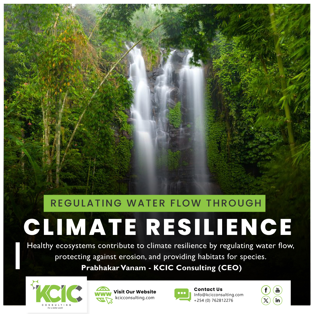 Robust ecosystems play a pivotal role in enhancing climate resilience through their capacity to regulate water flow, prevent erosion, and furnish crucial habitats for various species.

#Planet #ClimateChangeResilience   #ClimateSolutions #ResilientCommunities  #SaveOurPlanet