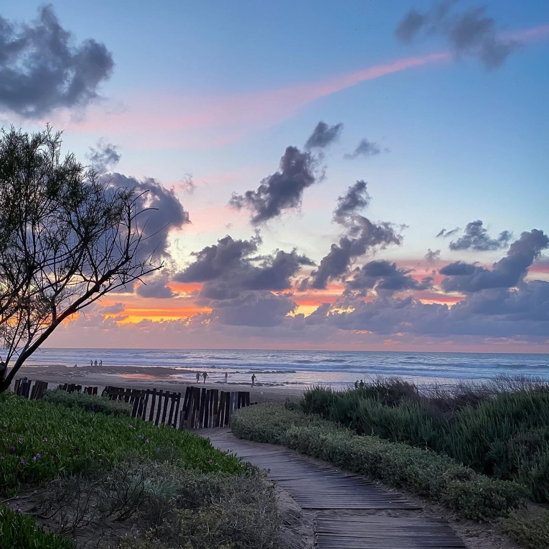 FSCasablanca's tweet image. Let the calming waves and mesmerizing skylights transport you to a realm of relaxation and pure bliss at #fscasablanca. 

#fourseasons #dreamwithfs