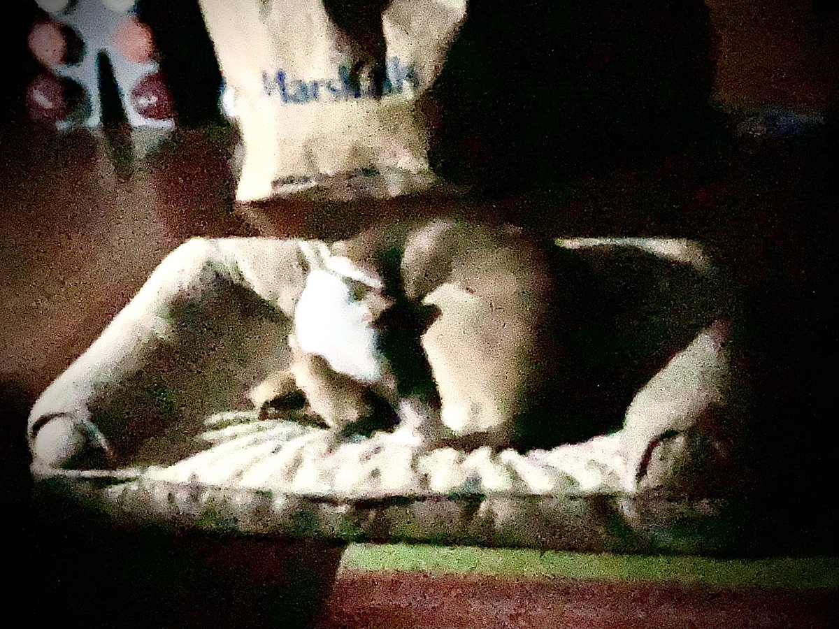 WheelAM6's tweet image. Nap time after an afternoon of shopping.
#photography #dog #Marshall’s #shopping #nap