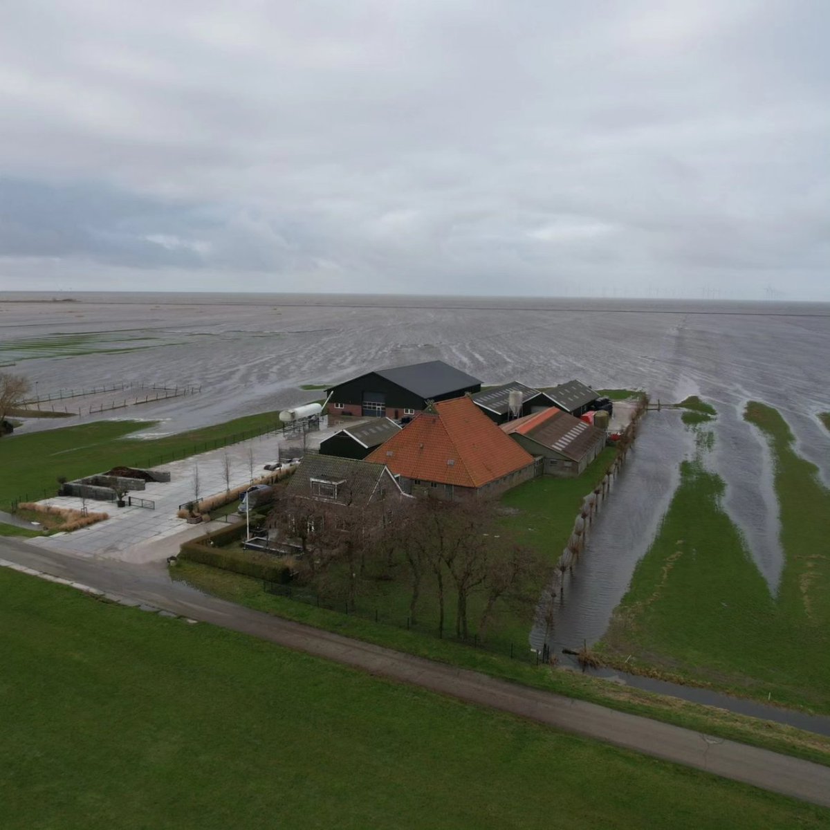 connypostma's tweet photo. @NUnl IJsselmeer #workumerwaard ook bij ons😔🙏 https://t.co/zTKVNvy87m