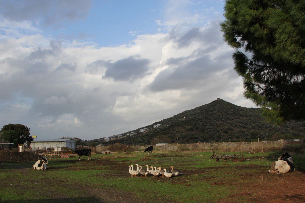 #SehreBAK'ta Yakın Plan!

Bediz Yılmaz'ın kaleme aldığı "Durmak, Susmak, Geri Çekilmek ve Ufalmak Üzerine" Yakın Plan yazısını okumak için: bit.ly/3NJWk4i

📸Yurdagül Bezirgan Arar

#SehreBAK #DogaKentInsan #YakinPlan #Sergi 

<a href="/anadolu_kultur/">Anadolu Kültür</a> 
<a href="/bedizyilmaz1/">byb</a>
