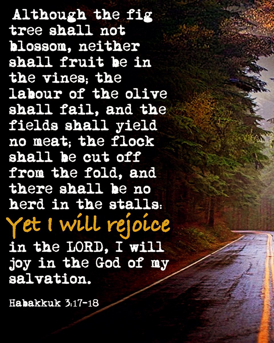 #Habakkuk3:17-18 

Reflection: If I don’t measure my success in figs, vines, and olives, what is the equivalent for me today?

Without crisis, we have no need of rescuing.

There can be no hero without a villain. There can be no understanding of plenty without scarcity. There is