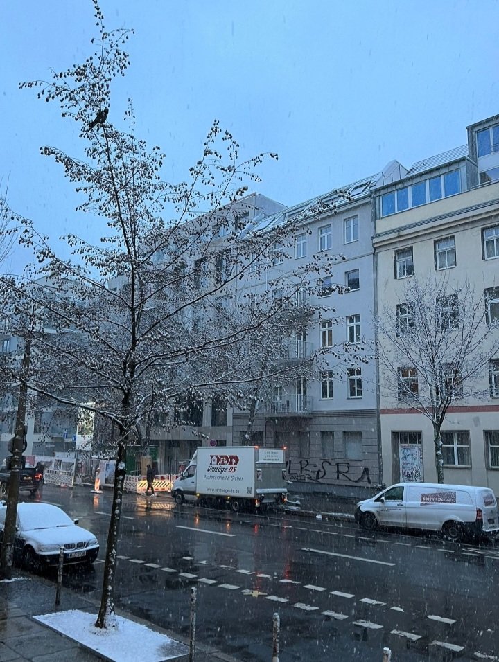 ...Più morbido e folto quel bianco splendore
riveste ogni ramo, via via. Le candide strade si fanno più zitte...
Il candido giorno là fuori s’accresce, diviene sempiterno, infinito...

Rilke
#IVoltiDiGennaio #SalaLettura

Ora, Berlino,  📸 di mia figlia